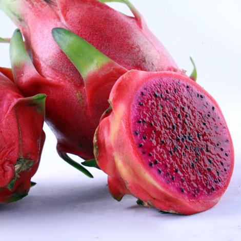 越南特级进口水果 新鲜红心火龙果 批发零售红心火龙果