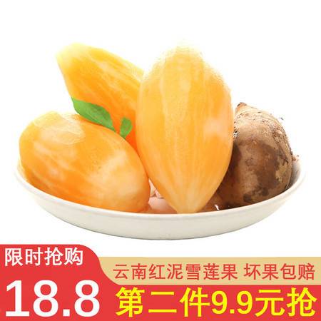 第二件9.9元云南特产雪莲果新鲜水果时令当季孕妇水果